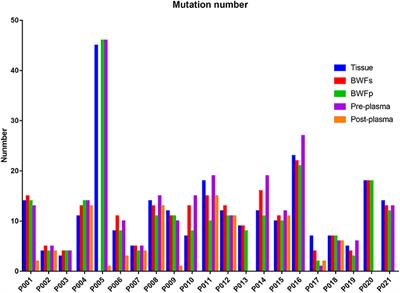 Identifying Genomic Alterations in Small Cell Lung Cancer Using the Liquid Biopsy of Bronchial Washing Fluid